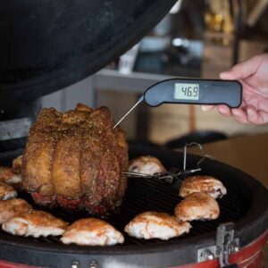 Thermapen Classic Zwart