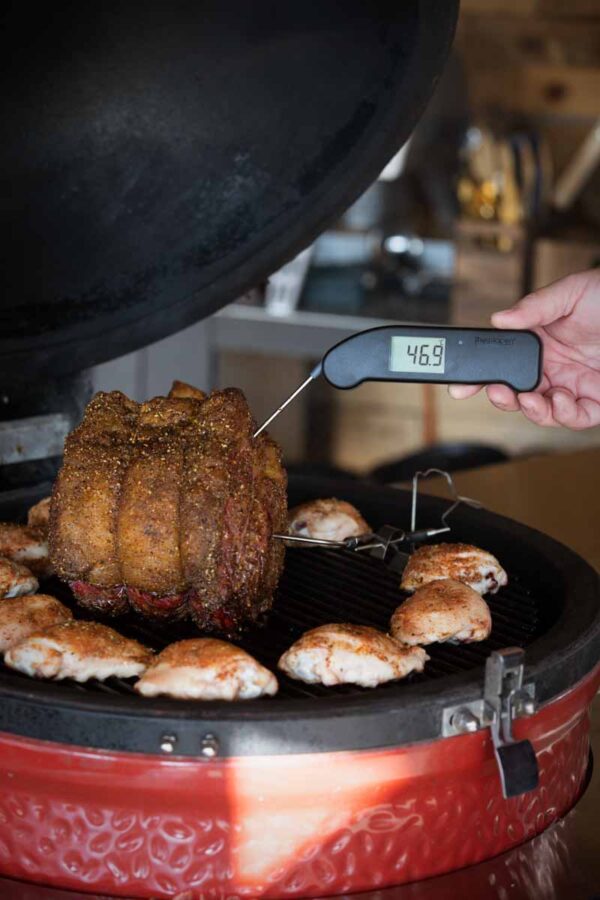 Thermapen Classic Zwart